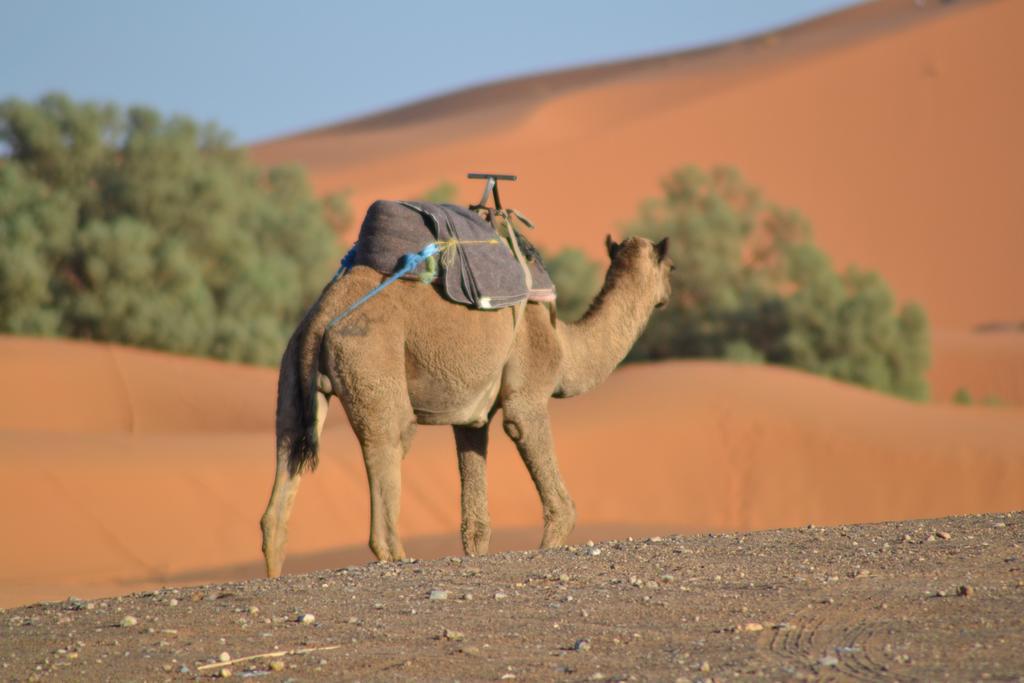 Hotel Luxury Maktoub Merzouga Esterno foto